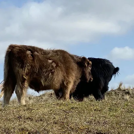 De Zeeparel Met Hottub *