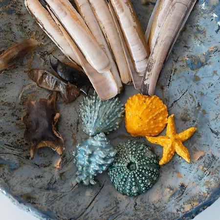 De Zeeparel Met Hottub Casa de Férias