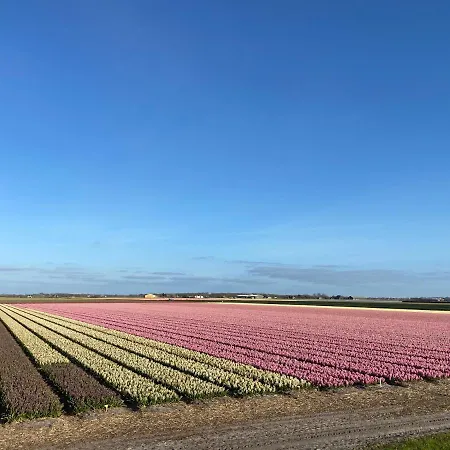 De Zeeparel Met Hottub 度假居